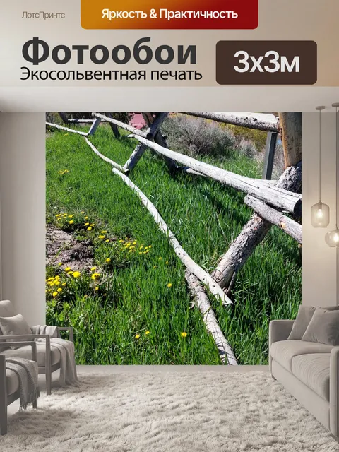 Фотообои Одуванчики и разделенные рельсы