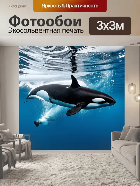 Фотообои подводный мир сан-диего в момент восторга: косатка порывается к поверхности
