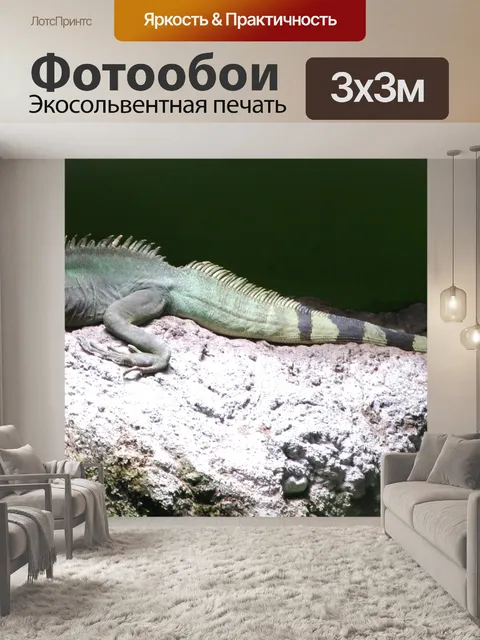 Фотообои Водяного Дракона