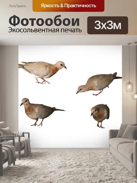Фотообои Птицы