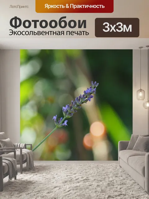 Фотообои Лаванда