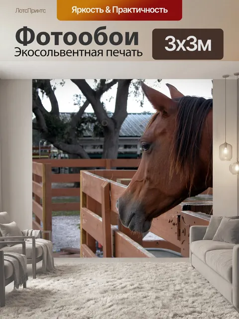 Фотообои Верховая Up Close