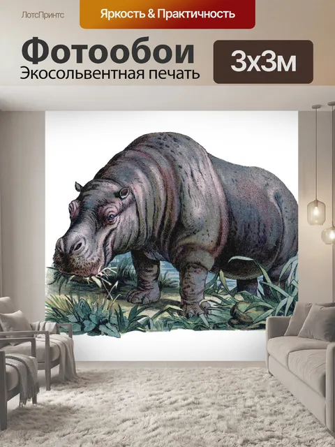Фотообои Винтажная иллюстрация бегемота старая