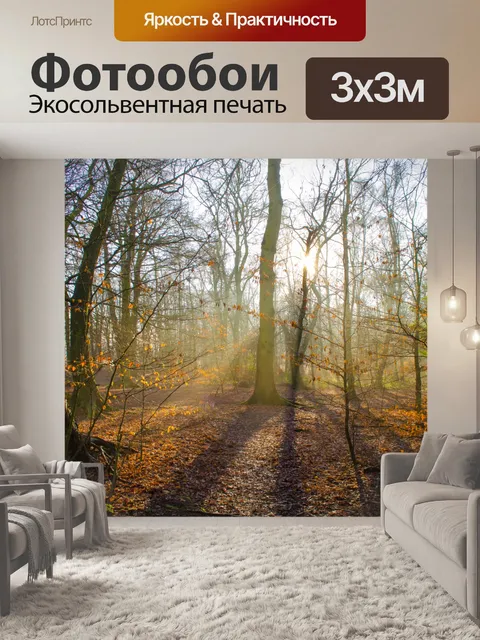 Фотообои Солнечный свет в лесу