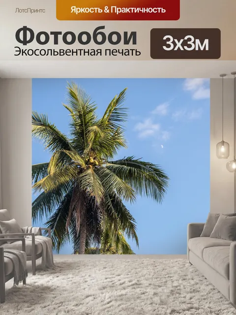 Фотообои Пальмы