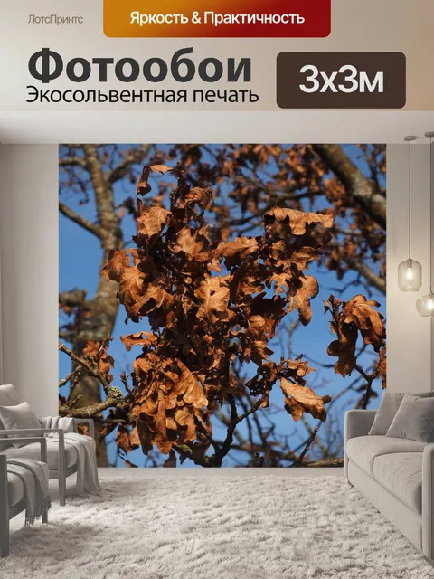 Фотообои Дубовые листья
