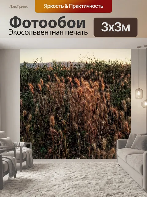 Фотообои Обои для рабочего стола