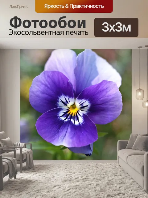 Фотообои Анютины глазки цветник