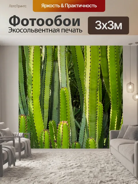 Фотообои Зеленый кактус фон