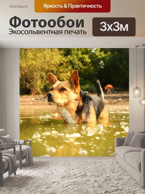Фотообои Собака