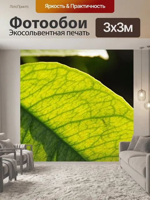 Фотообои Детали большого зеленого листа