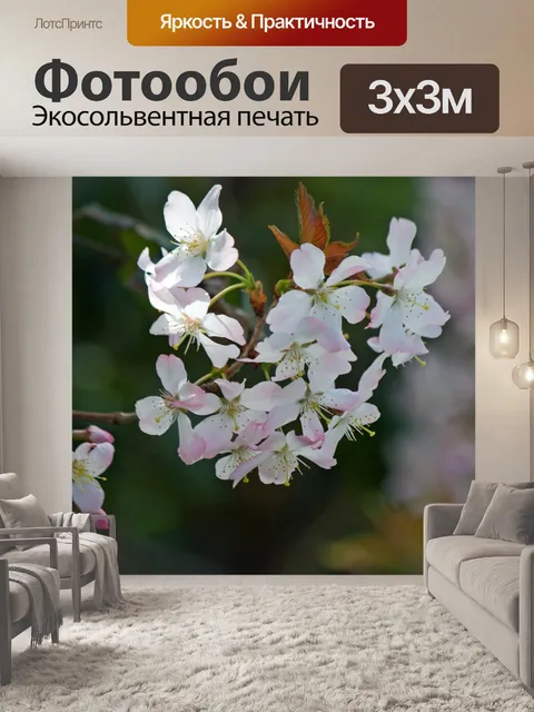 Фотообои Цветут цветы