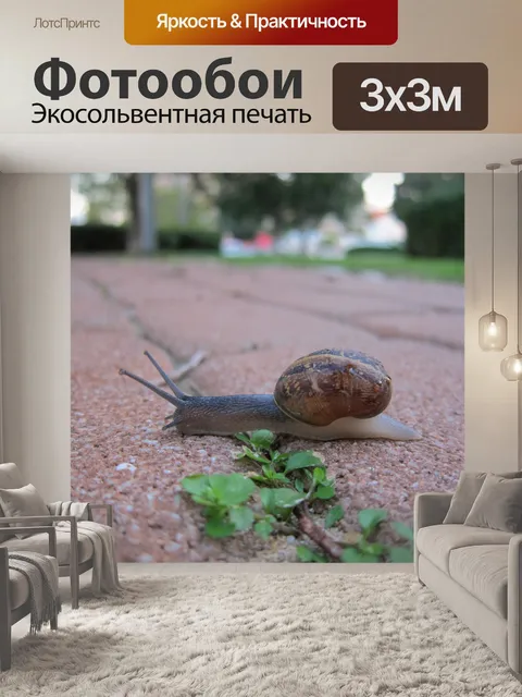 Фотообои природа, улитка, трава