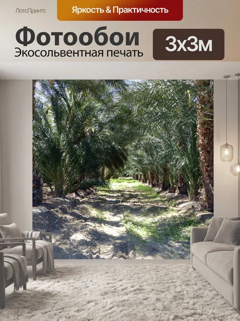Фотообои Ряды датских пальм