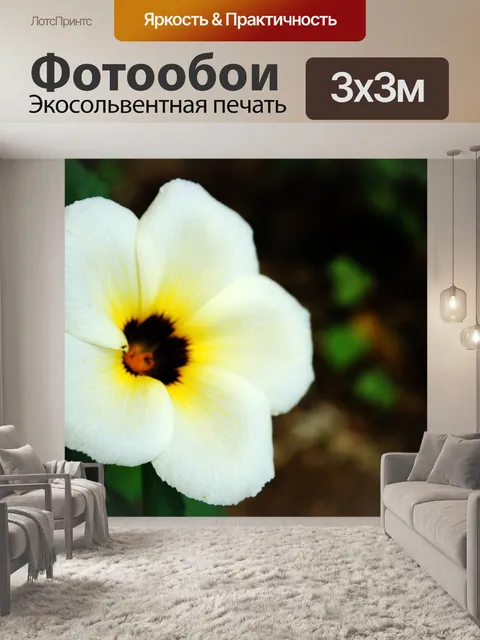 Фотообои красивый цветок
