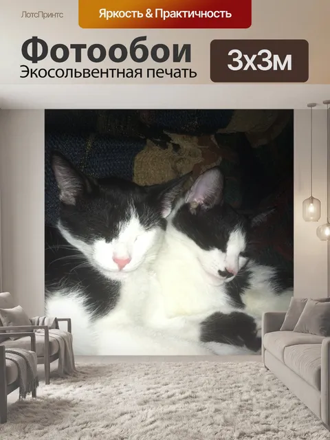 Фотообои Два котята