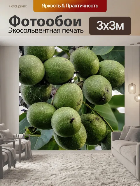 Фотообои Ореховое дерево