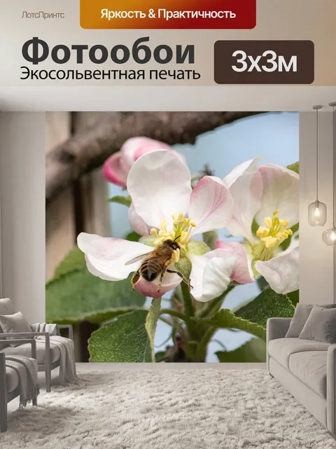 Фотообои Яблоневый цвет