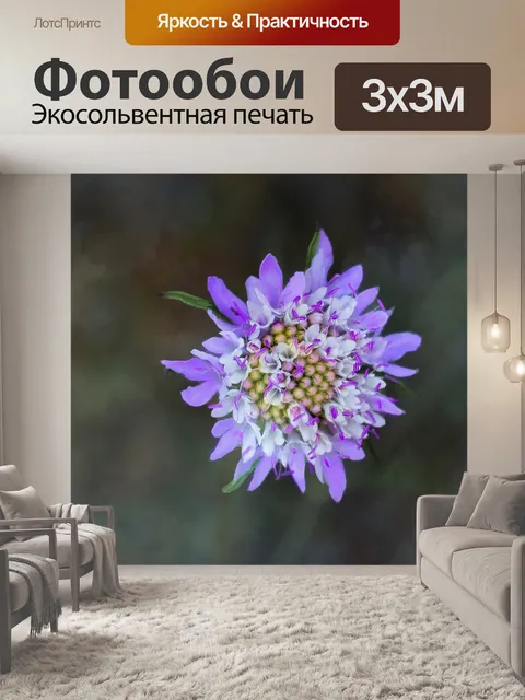 Фотообои Цветы