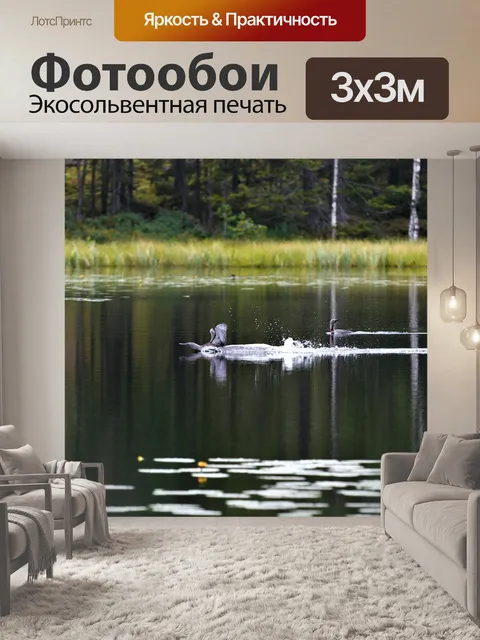 Фотообои Водоем