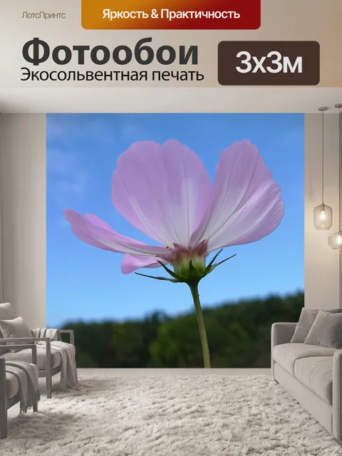 Фотообои Космос