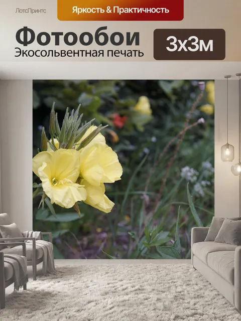 Фотообои Цветок