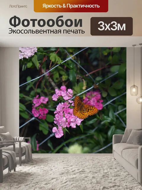 Фотообои Бабочки