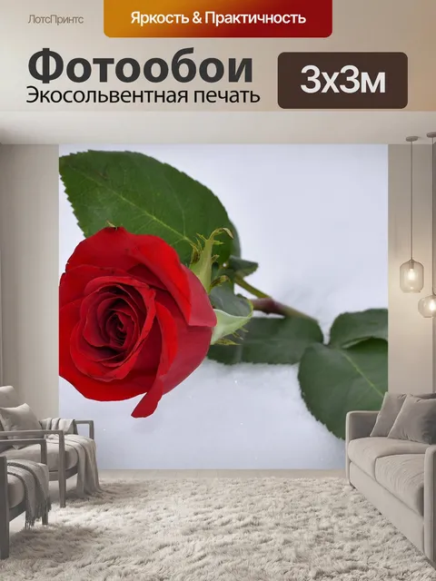 Фотообои Красная роза в снегу