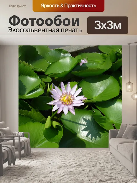 Фотообои Хамы