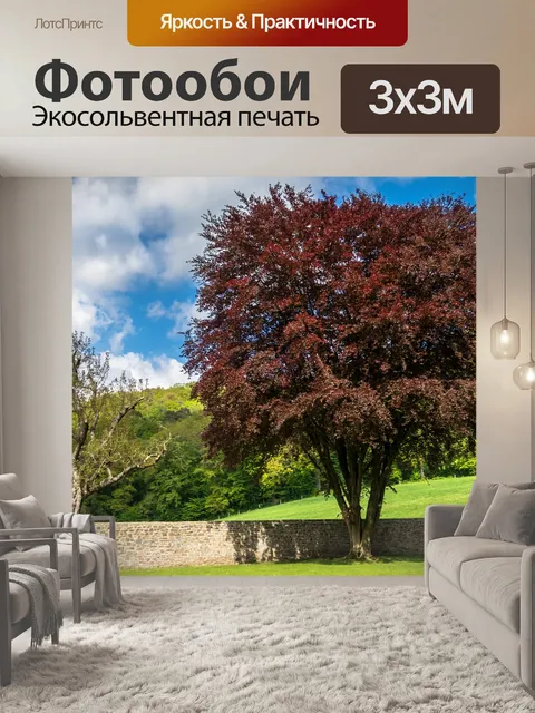Фотообои Кровавый бук