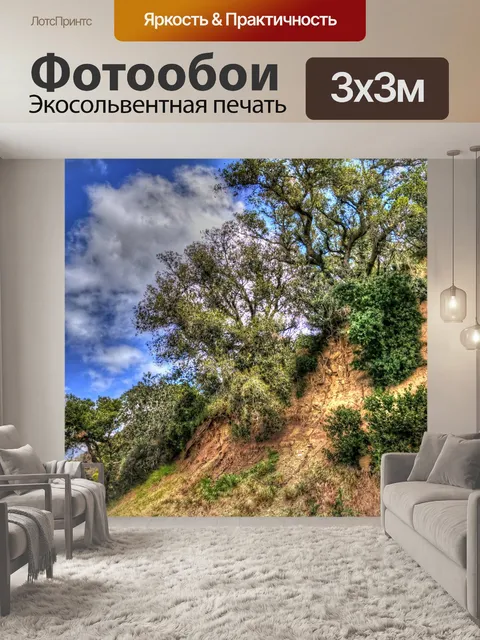 Фотообои Деревья на холме