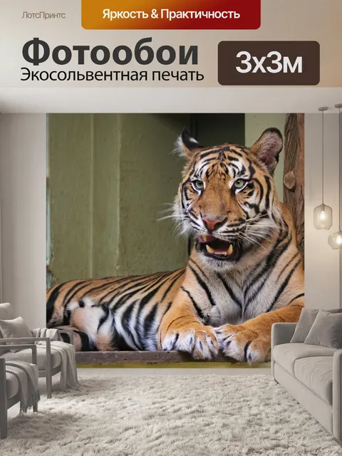 Фотообои Тигр
