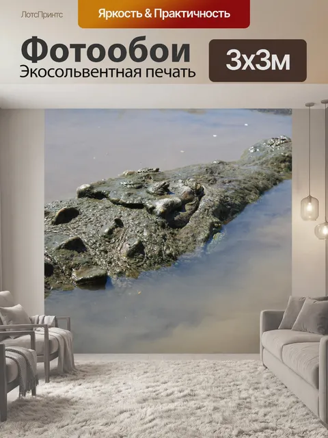 Фотообои Коста-Рика Крокодил