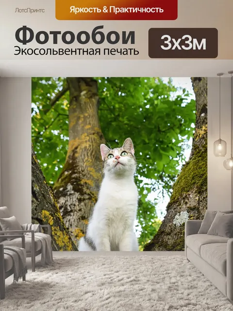 Фотообои Кошка