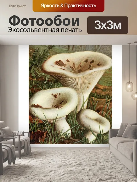 Фотообои Грибы век винтаж старый