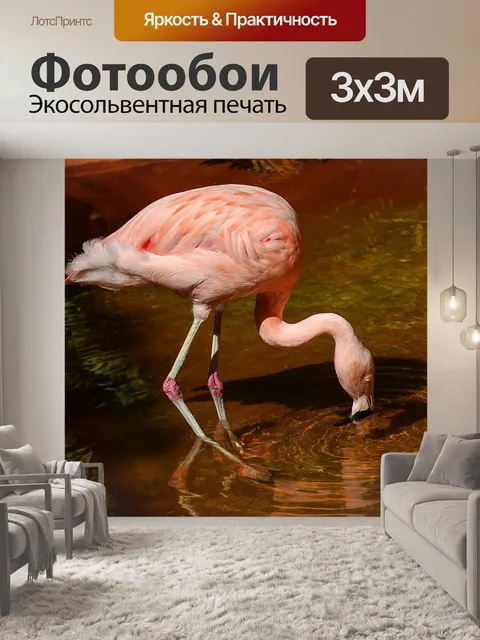 Фотообои Фламинго