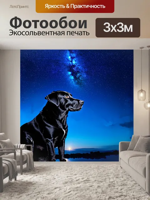 Фотообои черный лабрадор ретривер