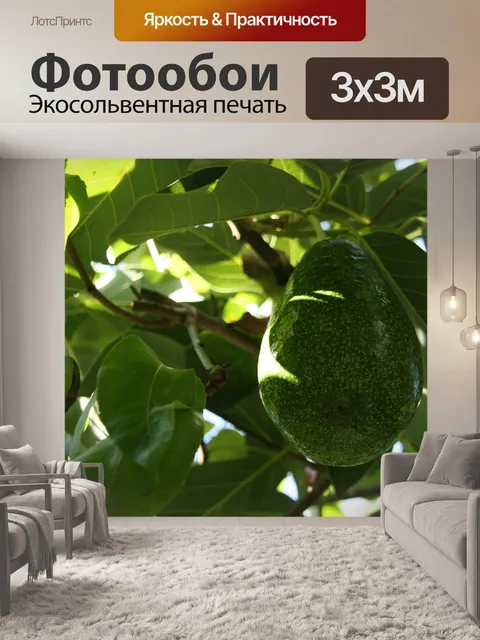 Фотообои Авокадо