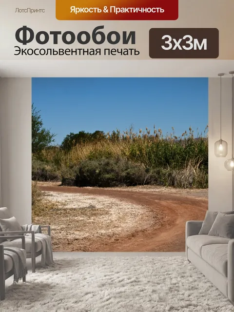 Фотообои Путь Пустыни
