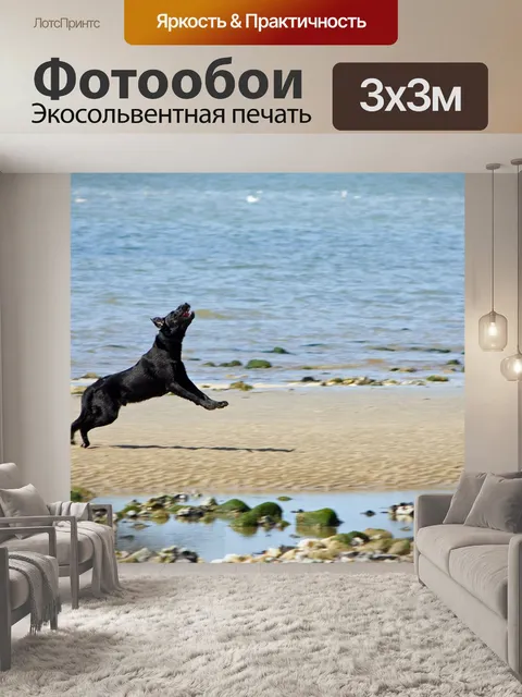Фотообои Собака прыгаю на пляже