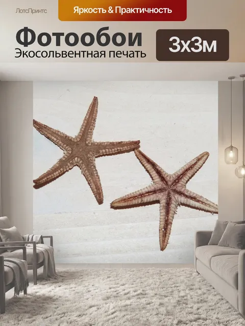 Фотообои Морская звезда