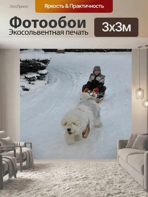 Фотообои Бобтейл