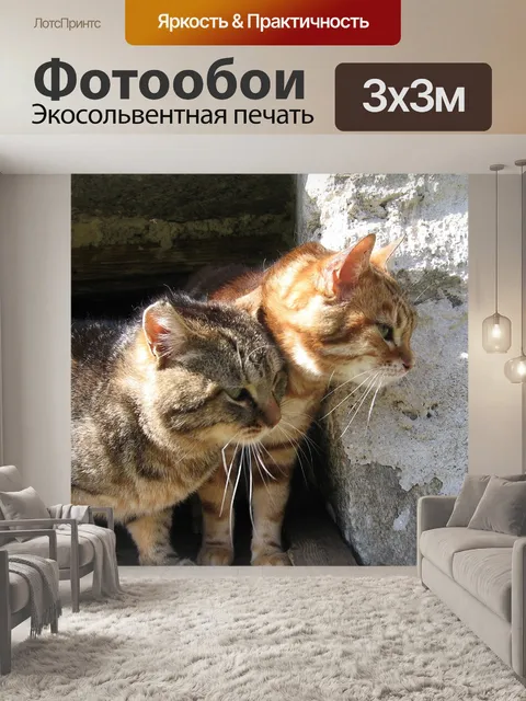 Фотообои Котята