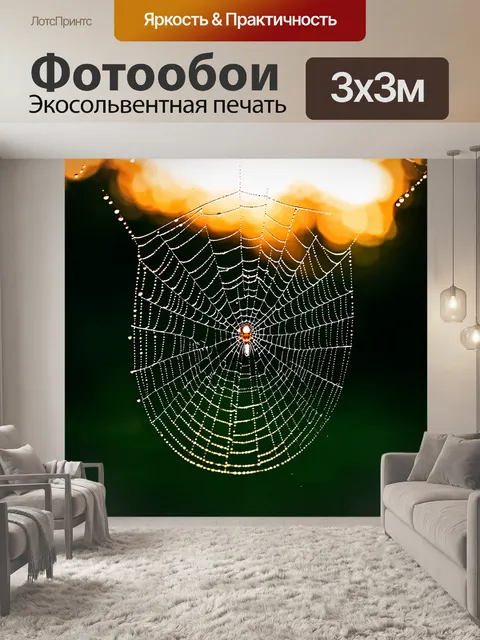 Фотообои природа в стиле капельное искусство, где капли на паутине создают магический эффект на рассвете