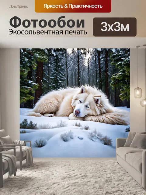Фотообои самоед мирно спит на мягком снежном покрове