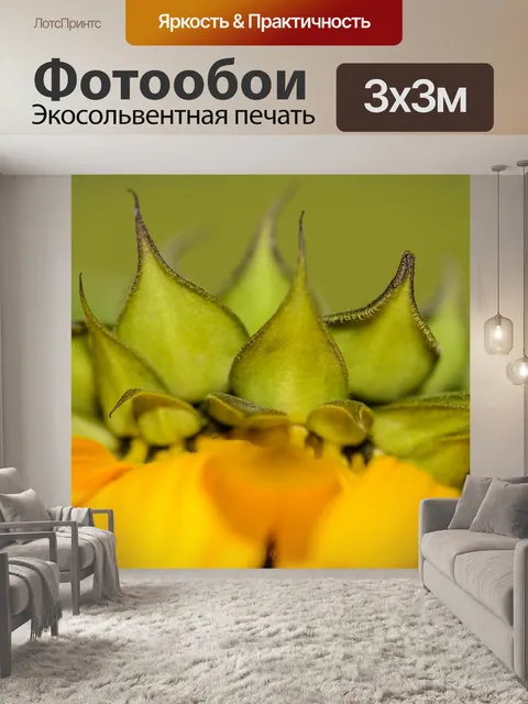 Фотообои Подсолнечник