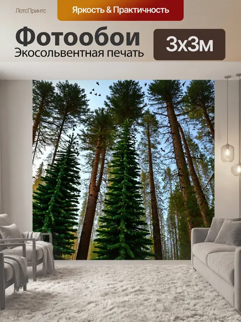 Фотообои высокие еловые деревья с яркими скворцами на ветвях