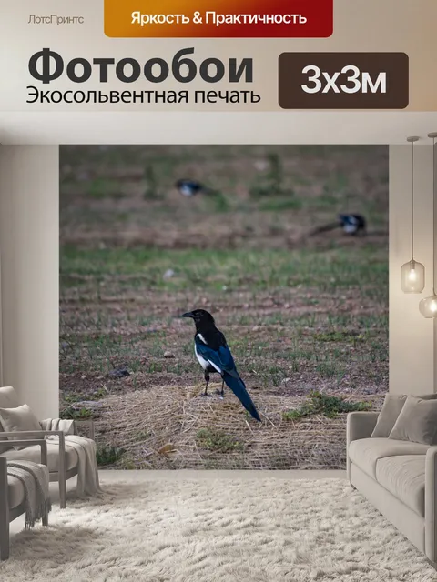 Фотообои Черная Славянная Птица Сорока