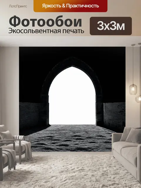 Фотообои черно-белый с изображением полукруглой арки