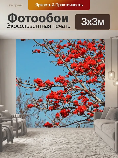 Фотообои красные цветы эритрины